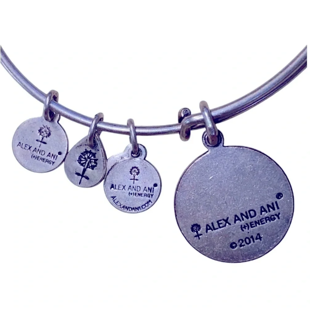 Alex and Ani elegant silver